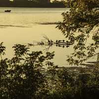 Dusk Photo with ducks standing on a log with a boat in the distance