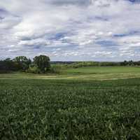 Farm and Landscape at Pope Conservancy in Middleton