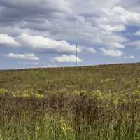 Field under cloud and sky