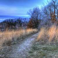 Cherokee Marsh Hiking Path in Madison, Wisconsin