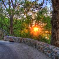 Sun setting behind trees in Madison, Wisconsin