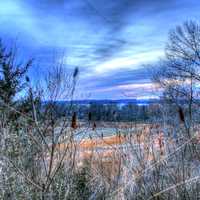 Landscape of Cherokee Marsh in Madison, Wisconsin