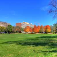 Some landscape in in Madison, Wisconsin