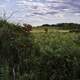 Grasses, hills, and landscape at Cherokee Marsh