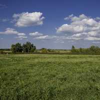 Grassy field landscape under sky and clouds