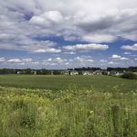 Houses of middleton from across the field