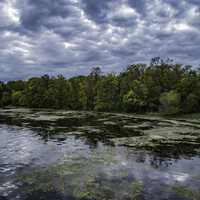 Lakeshore landscapes with clouds in the sky