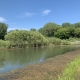 Landscape at Burke Park