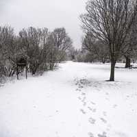 Last winter storm in Wisconsin Arboretum