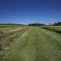 Path at the Yahara segment of Cherokee Marsh