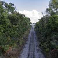 Railroad Tracks between the trees into the Clouds