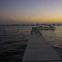 Seagulls on the Pier during Sunrise on Lake Mendota