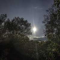 Sunlight above the trees at Cherokee Marsh