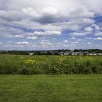 Town under the sky across the tall grass