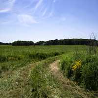 Trail at North Mendota Prairie landscape