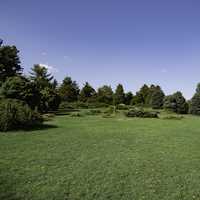 Uphill View landscape in Wisconsin Arboretum 