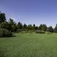 Uphill View landscape in Wisconsin Arboretum 