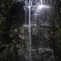 Waterfall inside the Greenhouse at Olbrich Botanical Gardens