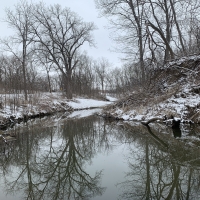 Winter scenery at Pheasant Branch Creek