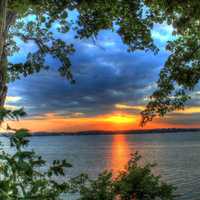 Artistic Sunset through trees in Madison, Wisconsin