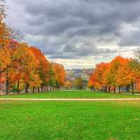 Autumn from Bascom Hill in Madison, Wisconsin