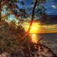 Bright sun beyond the trees in Madison, Wisconsin