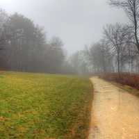 Foggy hiking Path in Madison, Wisconsin