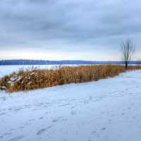 Frozen Wingra in Madison, Wisconsin