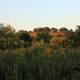 Hill in the distance in Madison, Wisconsin