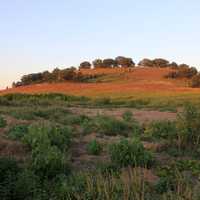 Hill landscape in Madison, Wisconsin