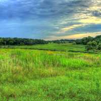 Landscape of the Natural Area in Madison, Wisconsin