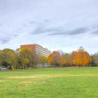 Landscape of the Park in Madison, Wisconsin