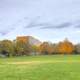 Landscape of the Park in Madison, Wisconsin