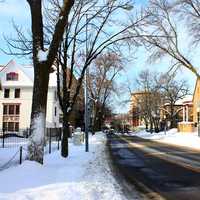 Snowy Langon Street in Madison, Wisconsin