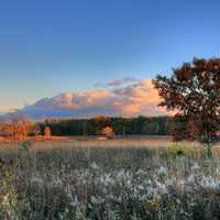 Looking over the fields in Madison, Wisconsin