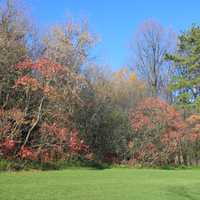 Meadow in Madison, Wisconsin