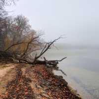 Misty lakeshore in Madison, Wisconsin