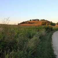 Path to the Hill in Madison, Wisconsin