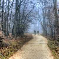 People walking into misty forest in Madison, Wisconsin