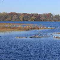 Picnic Point Bay in Madison, Wisconsin