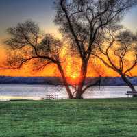 Sunset Behind Trees in Madison, Wisconsin