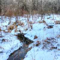 Stream in the winter in Madison, Wisconsin