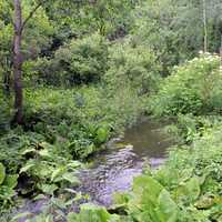 Stream in Madison, Wisconsin