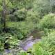 Stream in Madison, Wisconsin