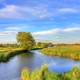 Streams of the wetlands in Madison, Wisconsin