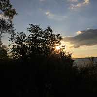 Sun behind the trees in Madison, Wisconsin