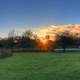 Sun setting behind trees in Madison, Wisconsin