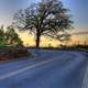 Sunset on the curving road in Madison, Wisconsin