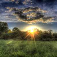 Sunset over the trees in Madison, Wisconsin