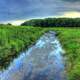 The stream in the natural area in Madison, Wisconsin